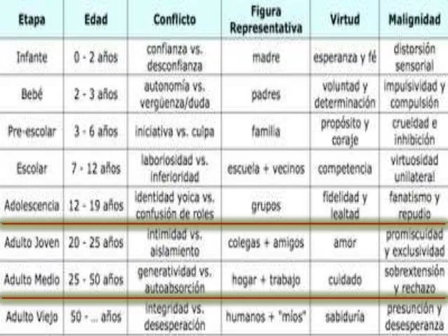 ETAPAS DEL DESARROLLO HUMANO