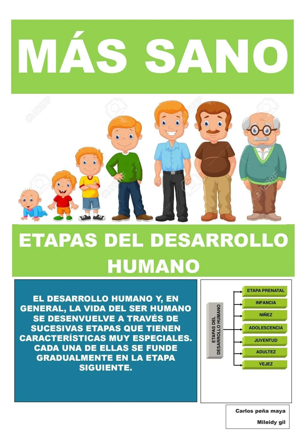 Etapas del desarrollo humano by carlospenamaya - Issuu