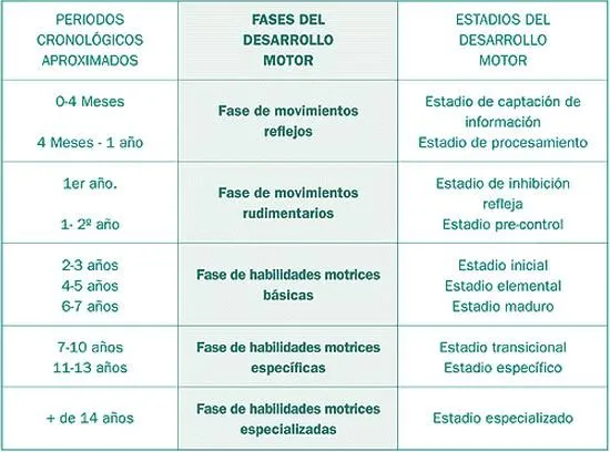 Desarrollo de la Técnica: Habilidades Motrices Básicas y ...