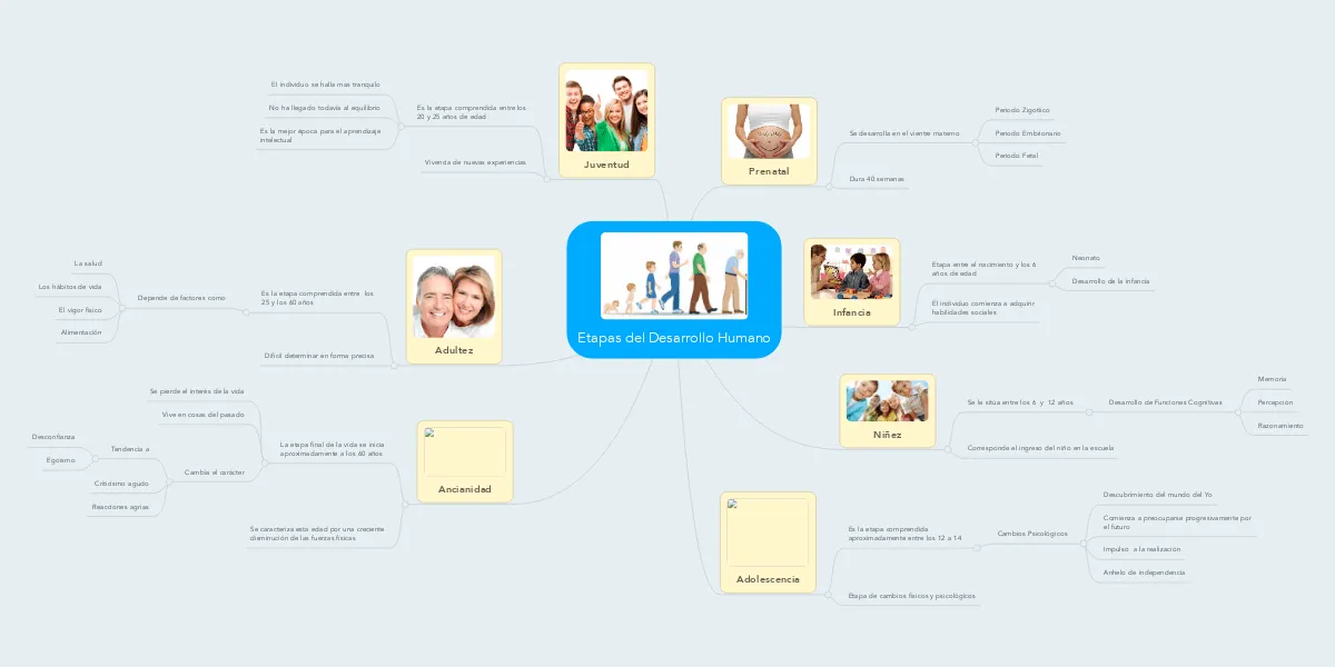 Etapas del Desarrollo Humano | MindMeister Mapa Mental