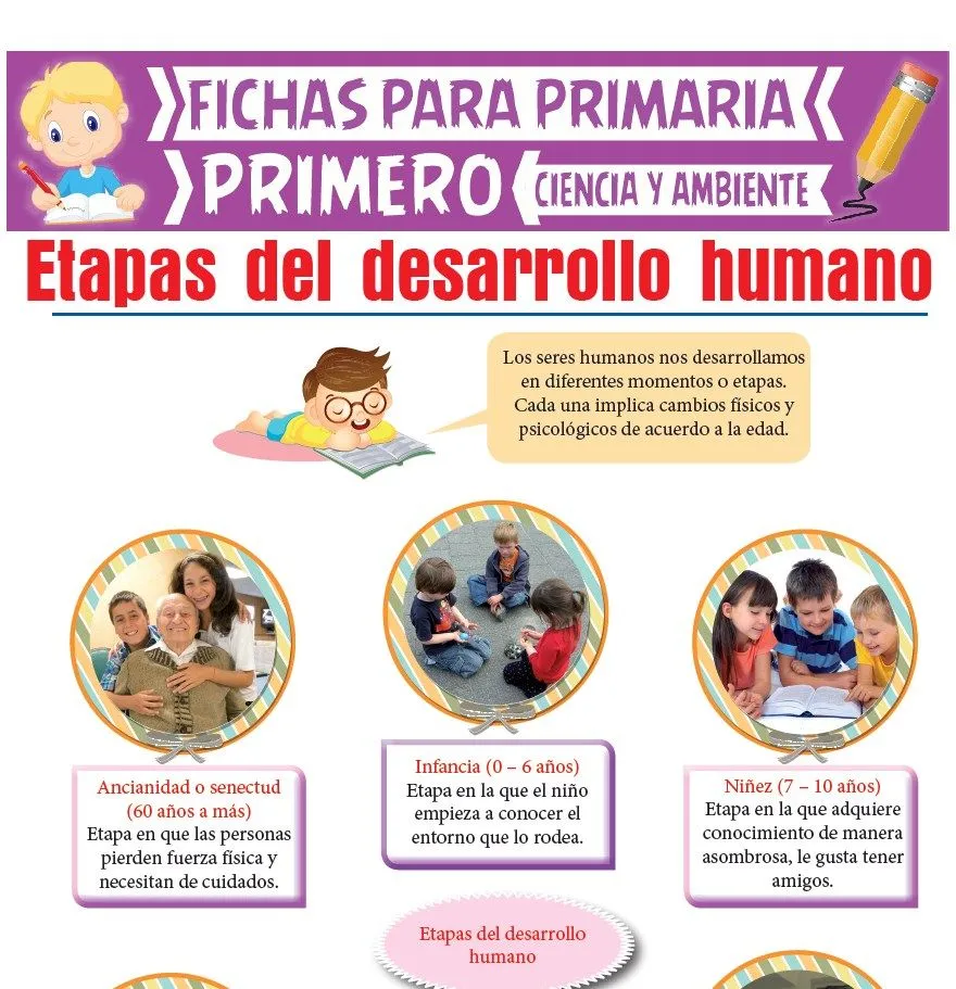 Etapas del Desarrollo Humano para Primero de Primaria