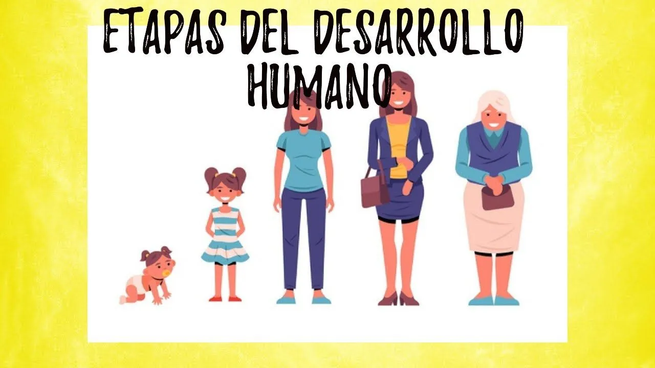 Etapas del desarrollo humano ( video educativo) - YouTube