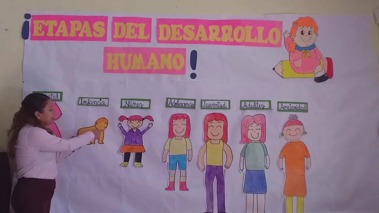 Etapas del desarrollo humano - YouTube