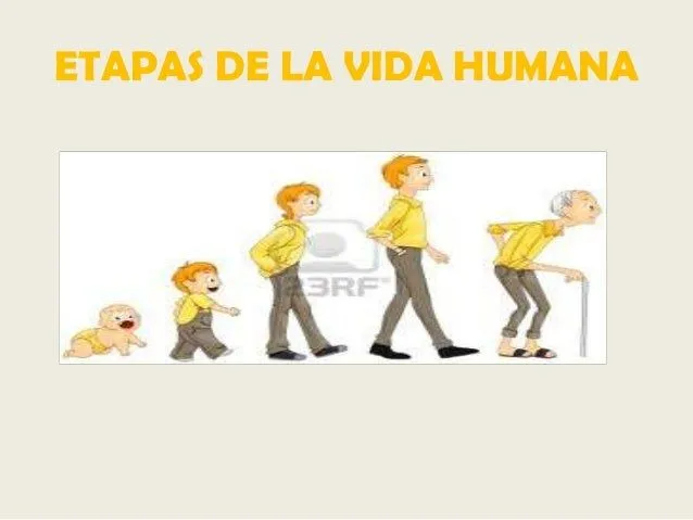 Etapas de la vida humana botones de acción