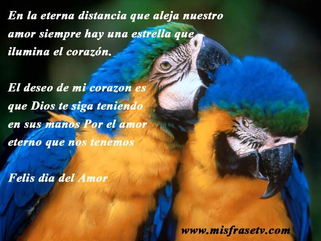 En la Eterna Distancia que aleja Nuestro Amor .. Frases Cristiana ...