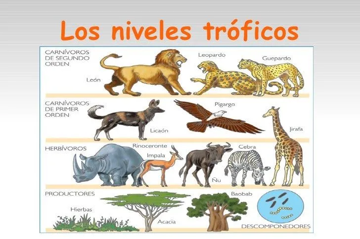 Ética y transformación del entorno: Guia #2 SENA, grado once.