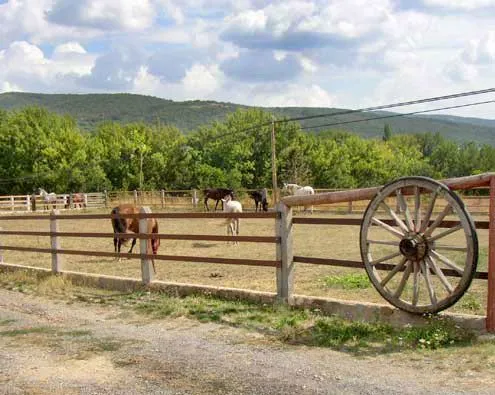 Evadium: Ruta guiada a caballo en León