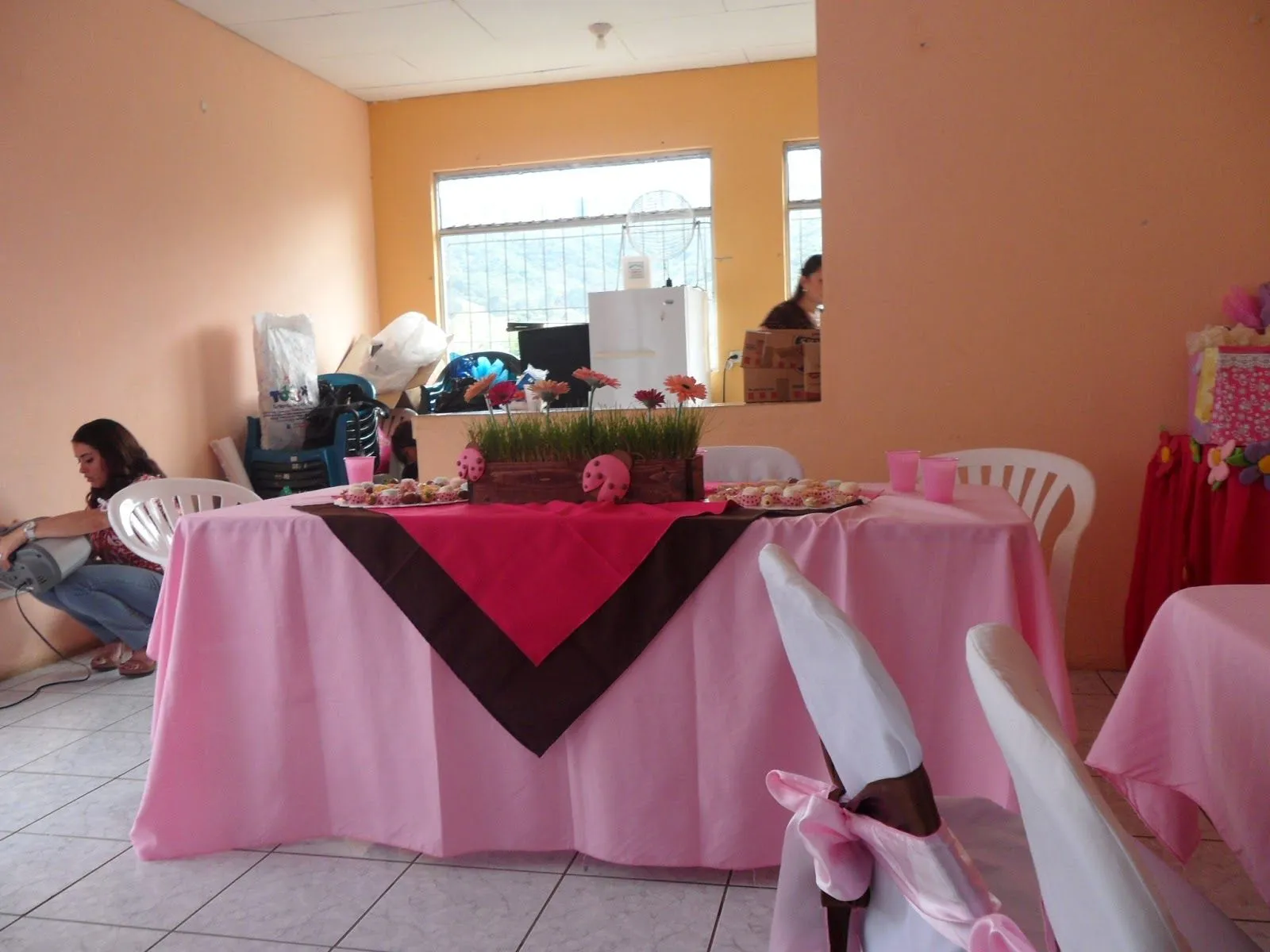 EVENTOS & DECORACIONES SILES: Baby Shower de Mariquitas rosado con ...