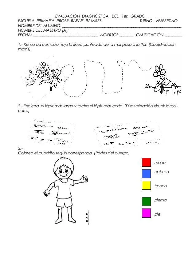 Examen de diagnostico primer año