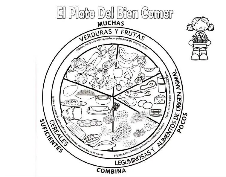 Excelente material para explicar y armar, el plato del bien comer para  colorear | Material Educativo