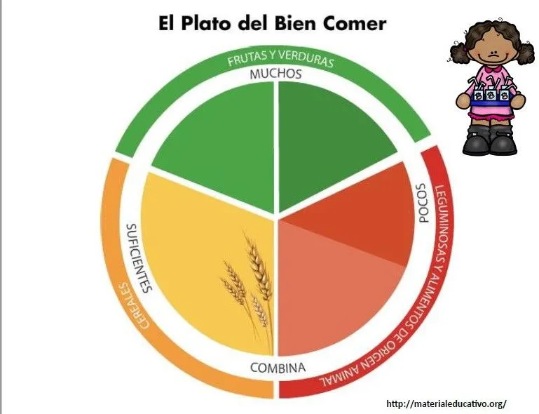 Excelente material para explicar y armar, el plato del bien comer para  colorear | Material Educativo