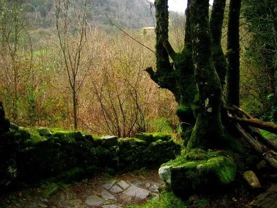 Excursión por Slieve Bloom en Irlanda