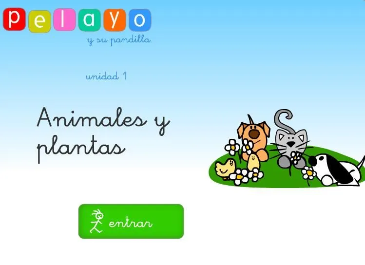 Experiencia Pedagógica | Educación Inclusiva y Discapacidad