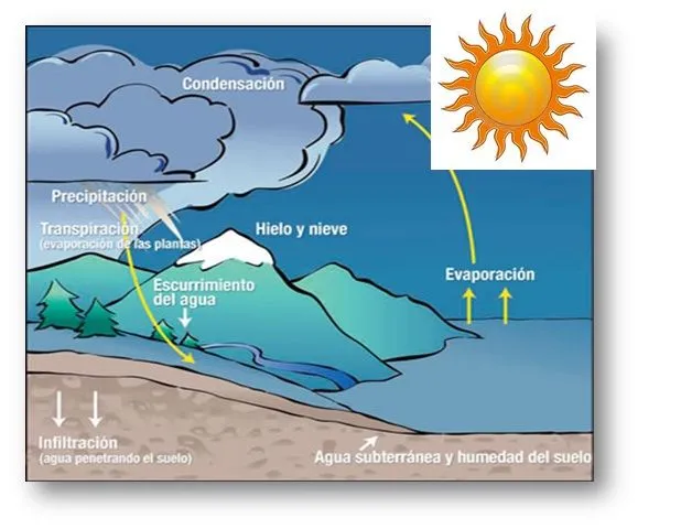 Explicacion ciclo del agua - Imagui