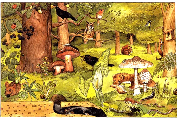 explorakids: Construye tu maqueta