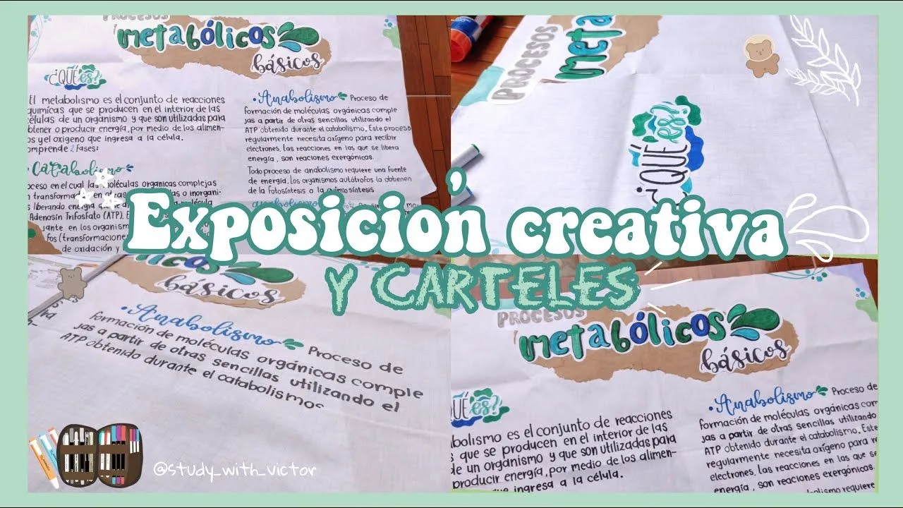 EXPOSICIONES creativas ✨