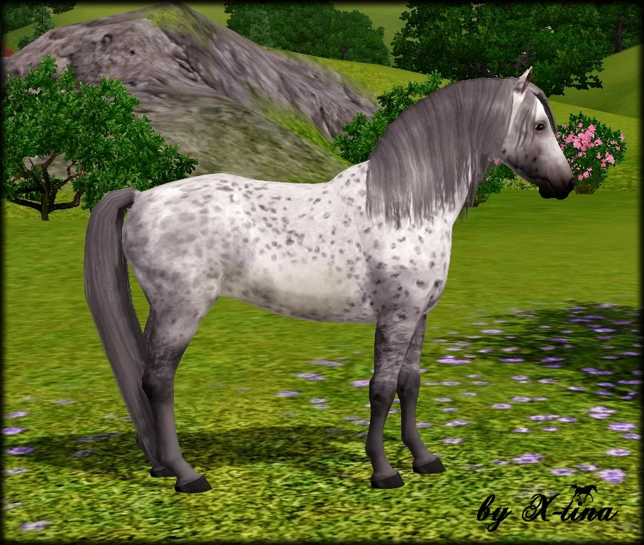 Exquisite Arabians: Falabella by X-