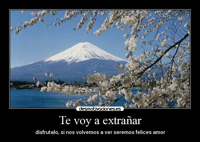 Te voy a extrañar | Desmotivaciones