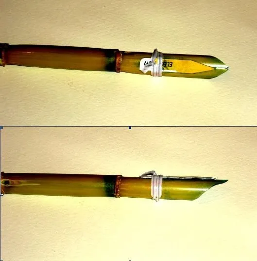 Como Fabricar una pluma con una caña, para dibujar con tintas ...