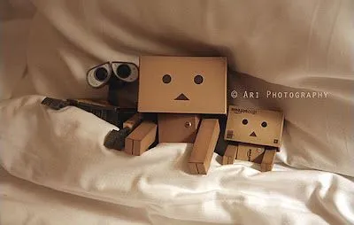 Fácil y Sencillo: 365 days of Danbo Robot by Arielle Nadel