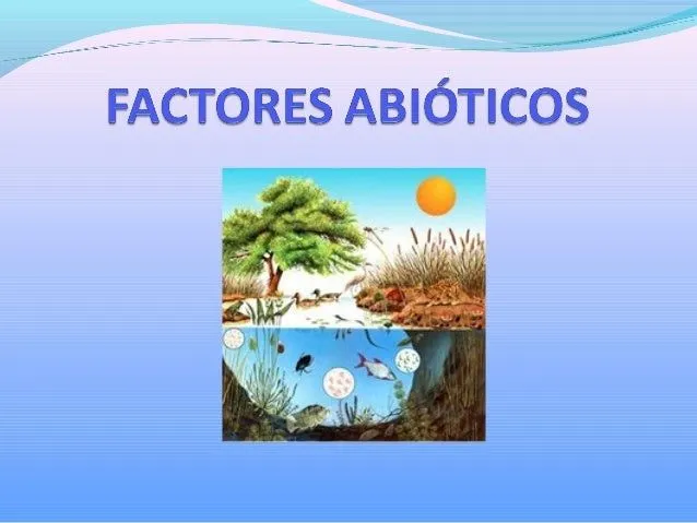 Factores abióticos