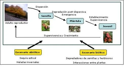 Factores abióticos de la ecología