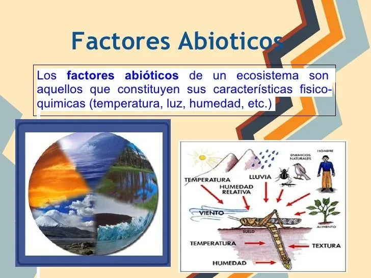 Factores Bióticos y Abióticos