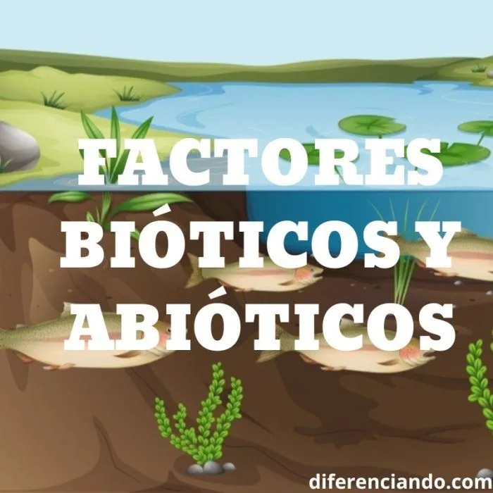 Factores bióticos y abióticos: definición, características y ejemplos -  Diferenciando