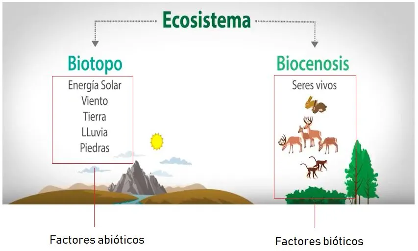 Factores bióticos; Tipos, relaciones, ejemplos y concepto biótico | OVACEN