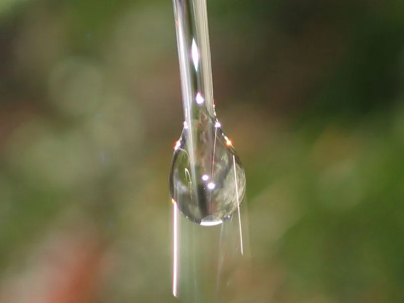 Falacias – Las gotas de lluvia tienen forma de lágrima | El Tamiz