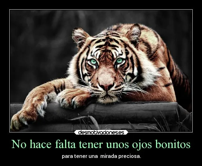 No hace falta tener unos ojos bonitos | Desmotivaciones