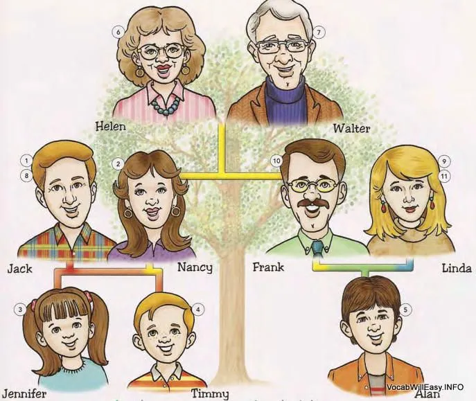 Family Tree - Picture Dictionary for Kids