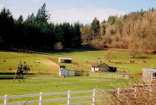 Farm Town - Taringa!