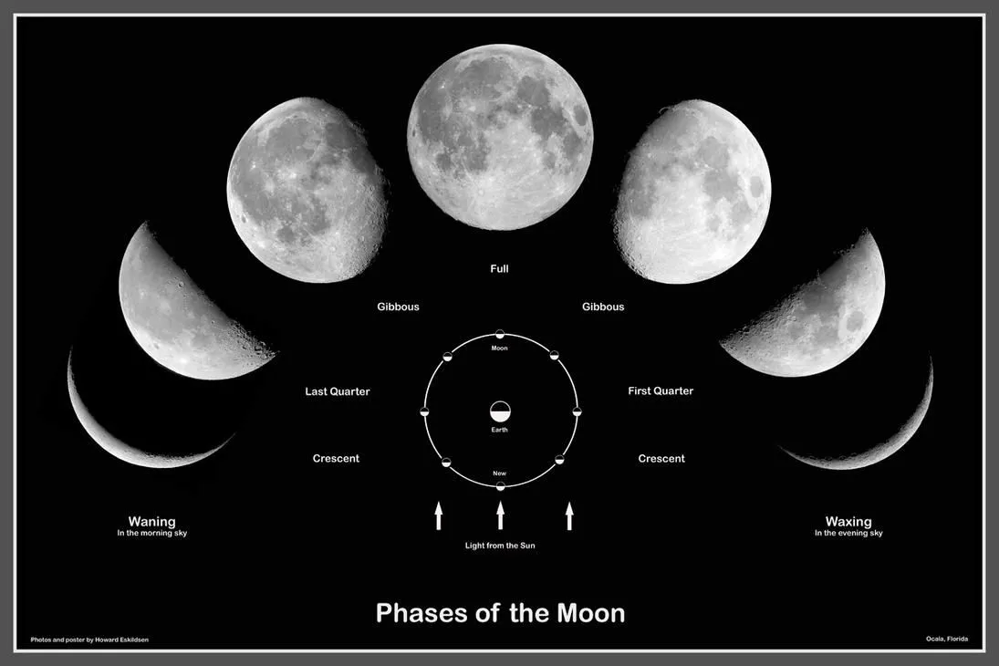 Las Fases De La Luna 2015 | Search Results | New Calendar Template