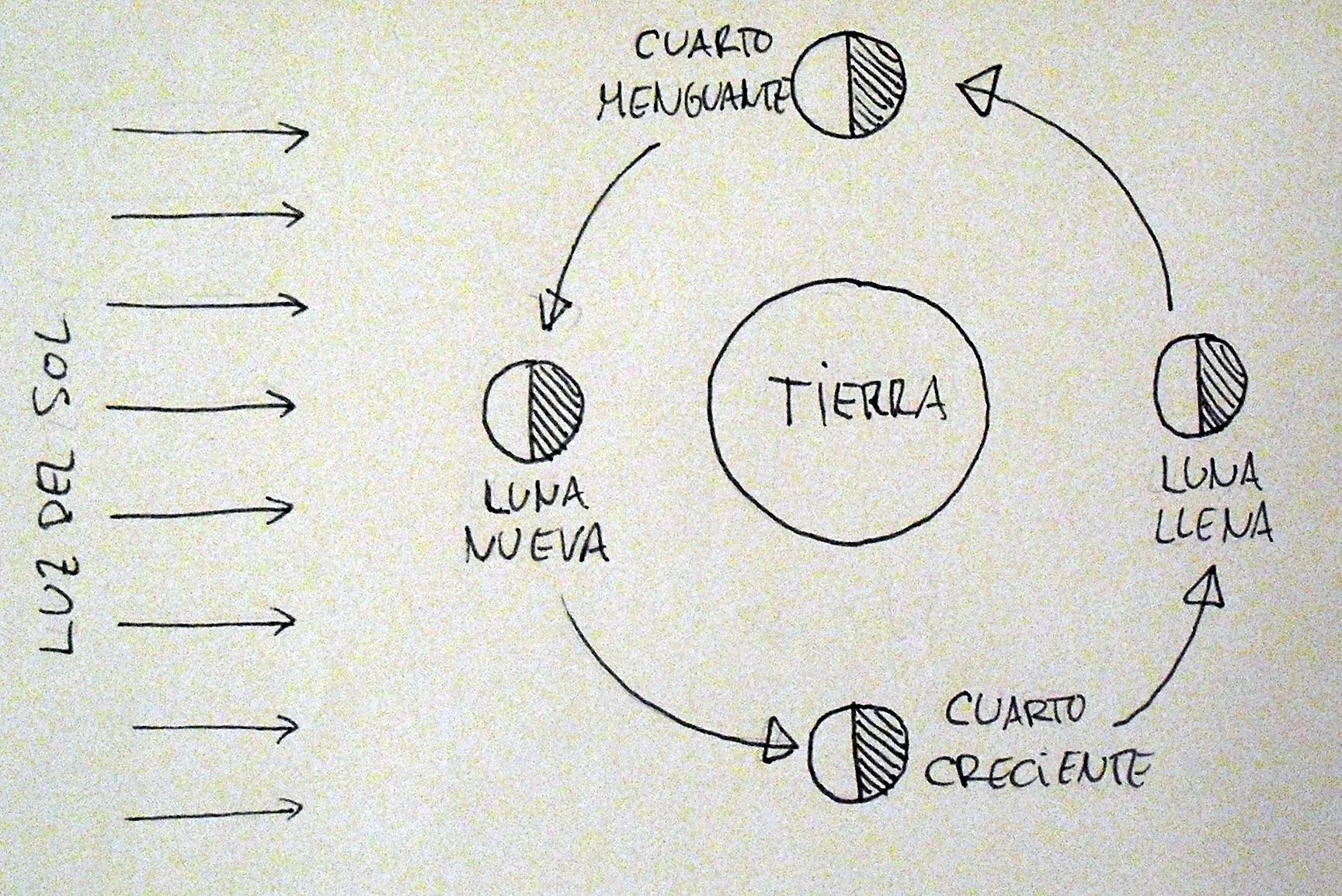 Las fases de la Luna y la agricultura: por qué no me lo creo | The ...