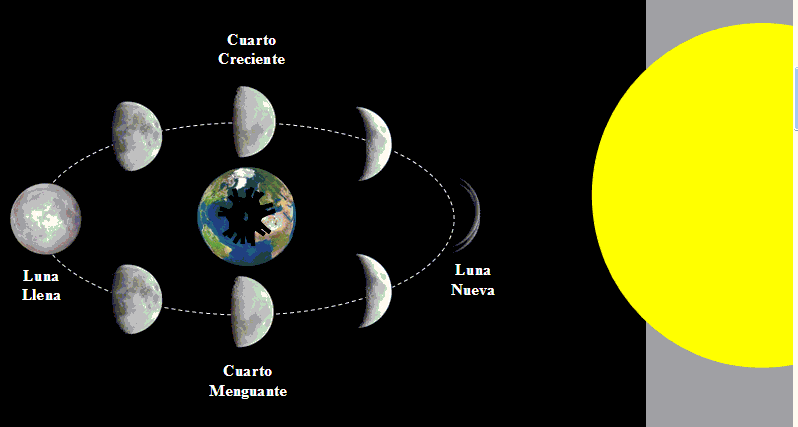 Dibujos para colorear de las fases de la luna - Imagui