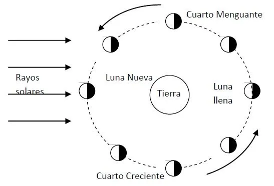 Fases de la luna para colorear - Imagui