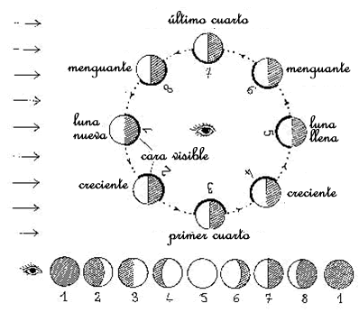 Fases de la luna para colorear - Imagui