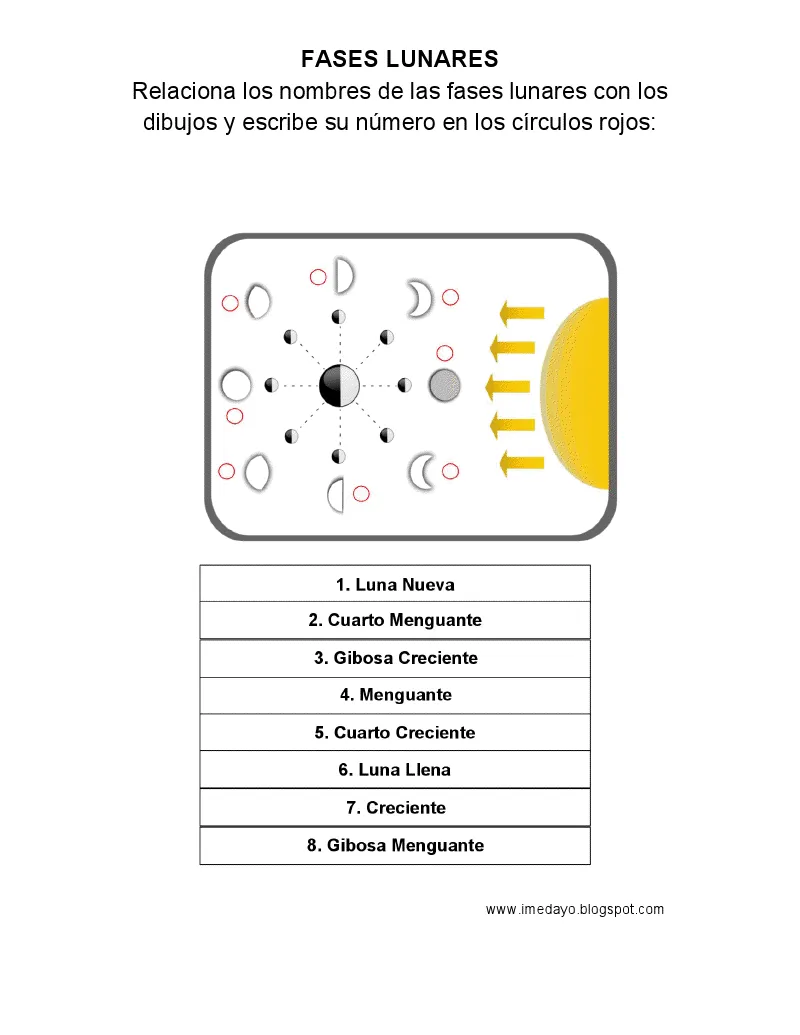 Las fases de la luna para colorear para niños de primaria - Imagui