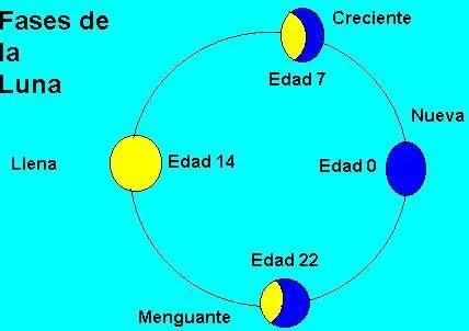 Las fases de la luna para colorear para niños de primaria - Imagui