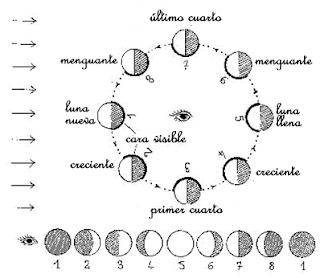 Las fases de la luna para colorear para niños de primaria - Imagui