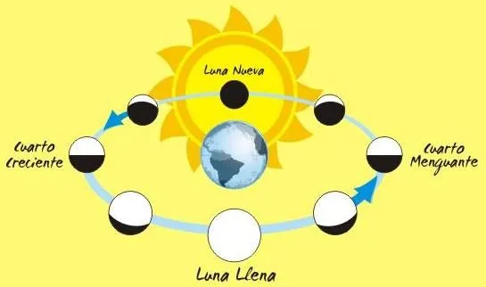 La luna y sus fases para niños de primaria - Imagui