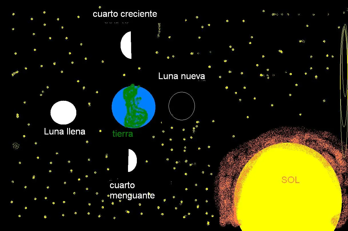 Las cuatro fases de la luna para niños - Imagui