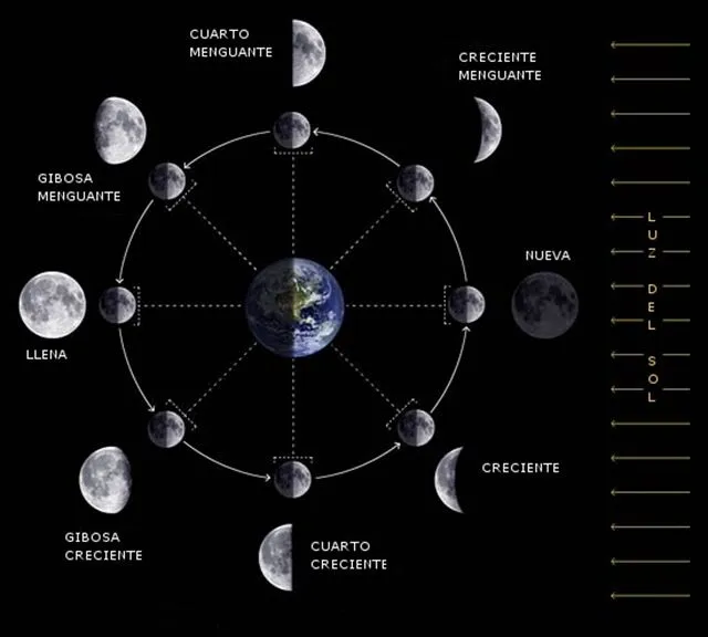 Las cuatro fases de la luna y sus nombres - Imagui