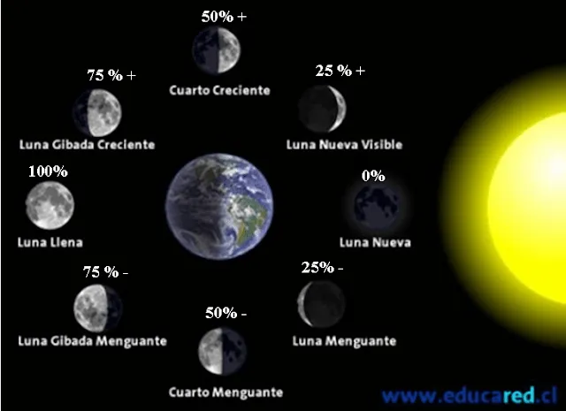 Vive Sana: Las fases de la Luna y la Salud.