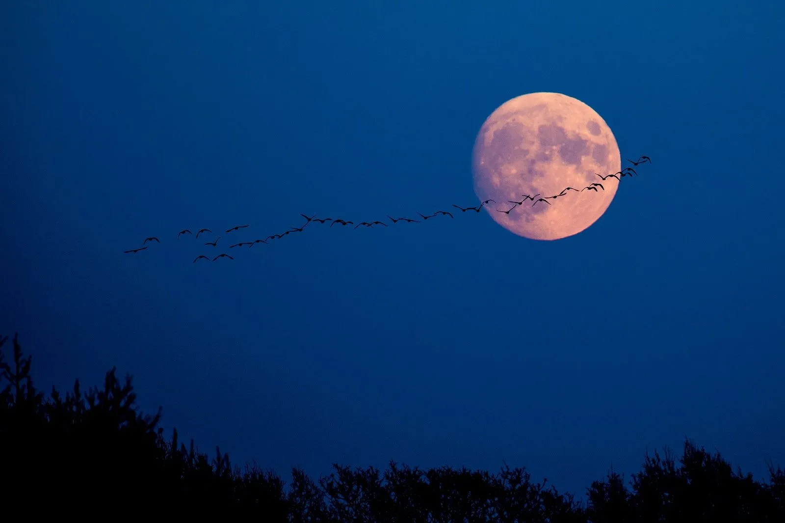 Fases lunares: qué significan, cómo afectan tu estado de ánimo | Vogue