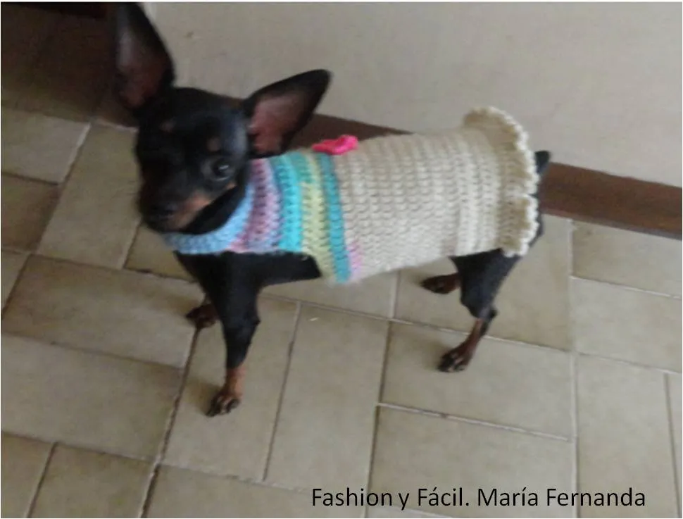 Fashion y Fácil DIY: Ropa para perros a ganchillo. Chalecos y ...