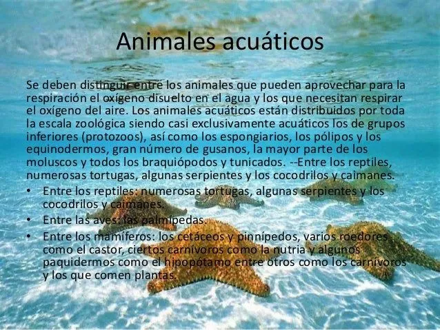 La fauna acuatica