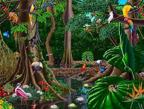 fauna del bosque tropical - Buscar con Google | bosque tropical ...