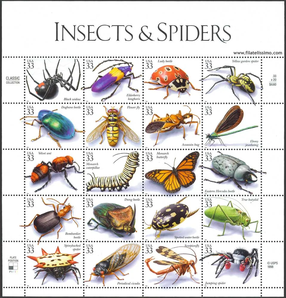 Fauna: Insectos y Arañas